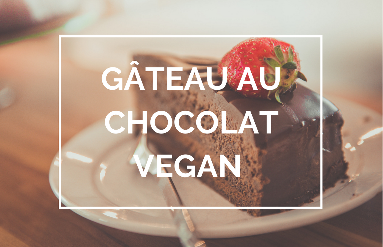 Recette Gateau Au Chocolat Vegan Nature Source