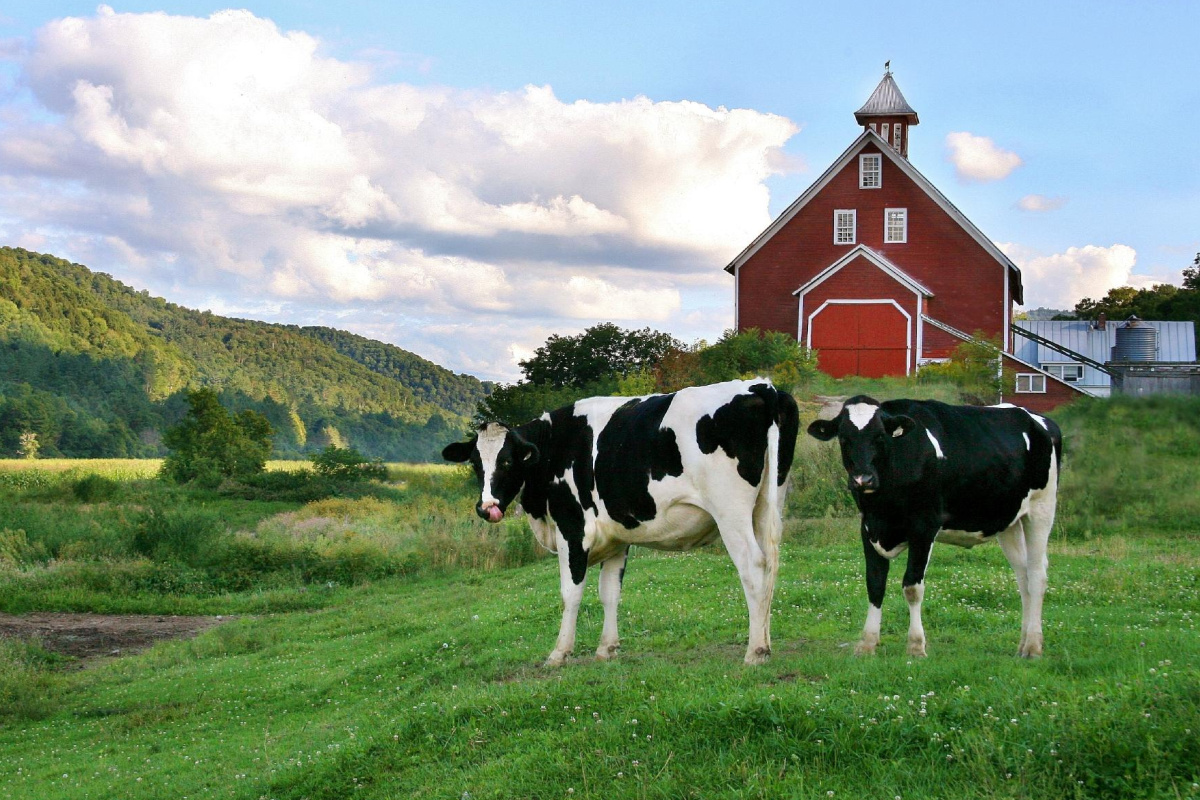 Nature Source Magasin Bio Vitre Agriculture Bio4 Nature Source Magasin Bio Vitre Agriculture Bio4