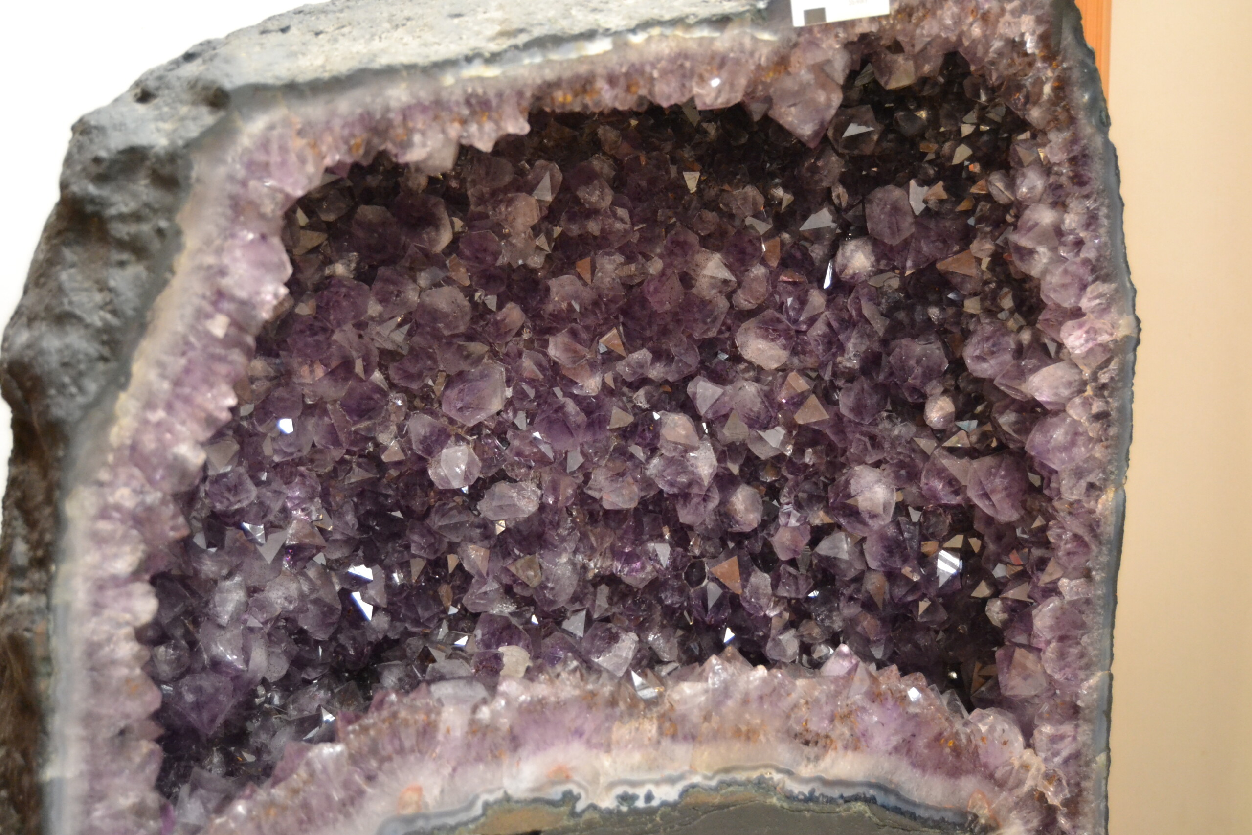 Nature Source Magasin Bio Vitre DSC 0079